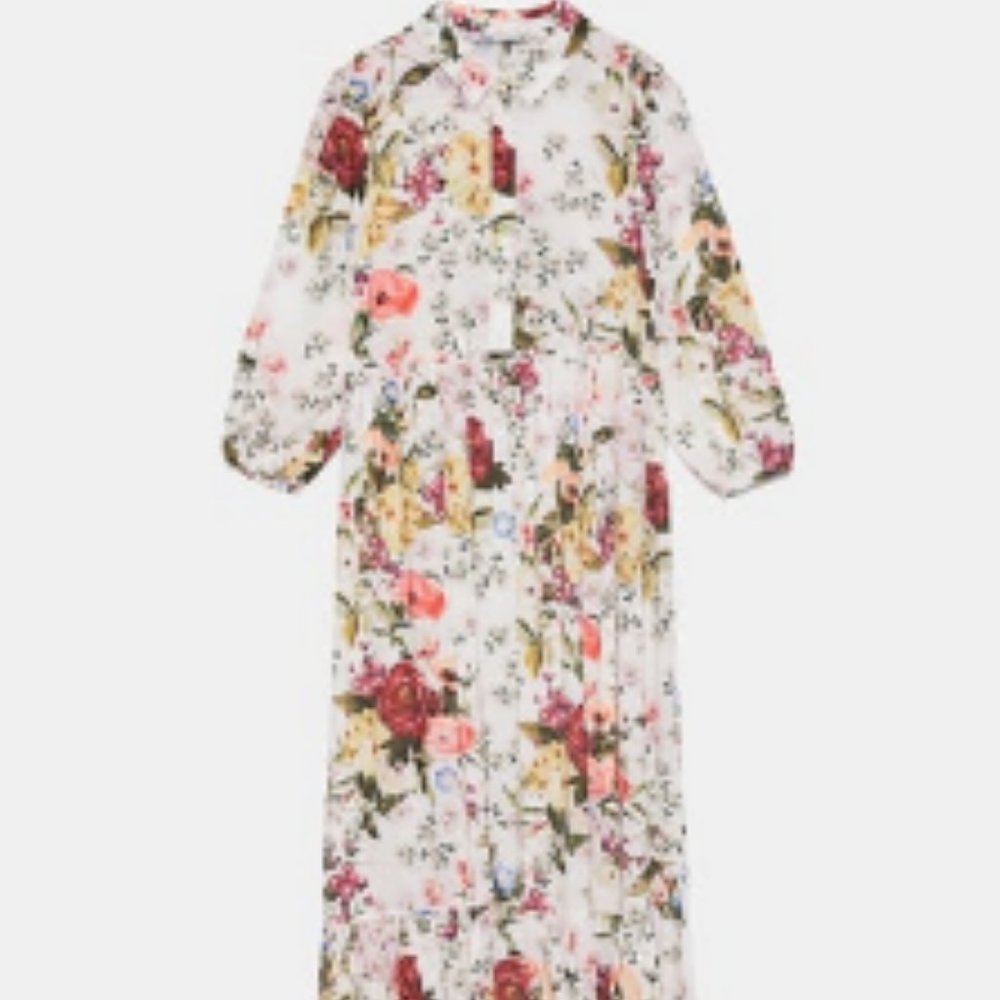 Zara Floral Print Dress